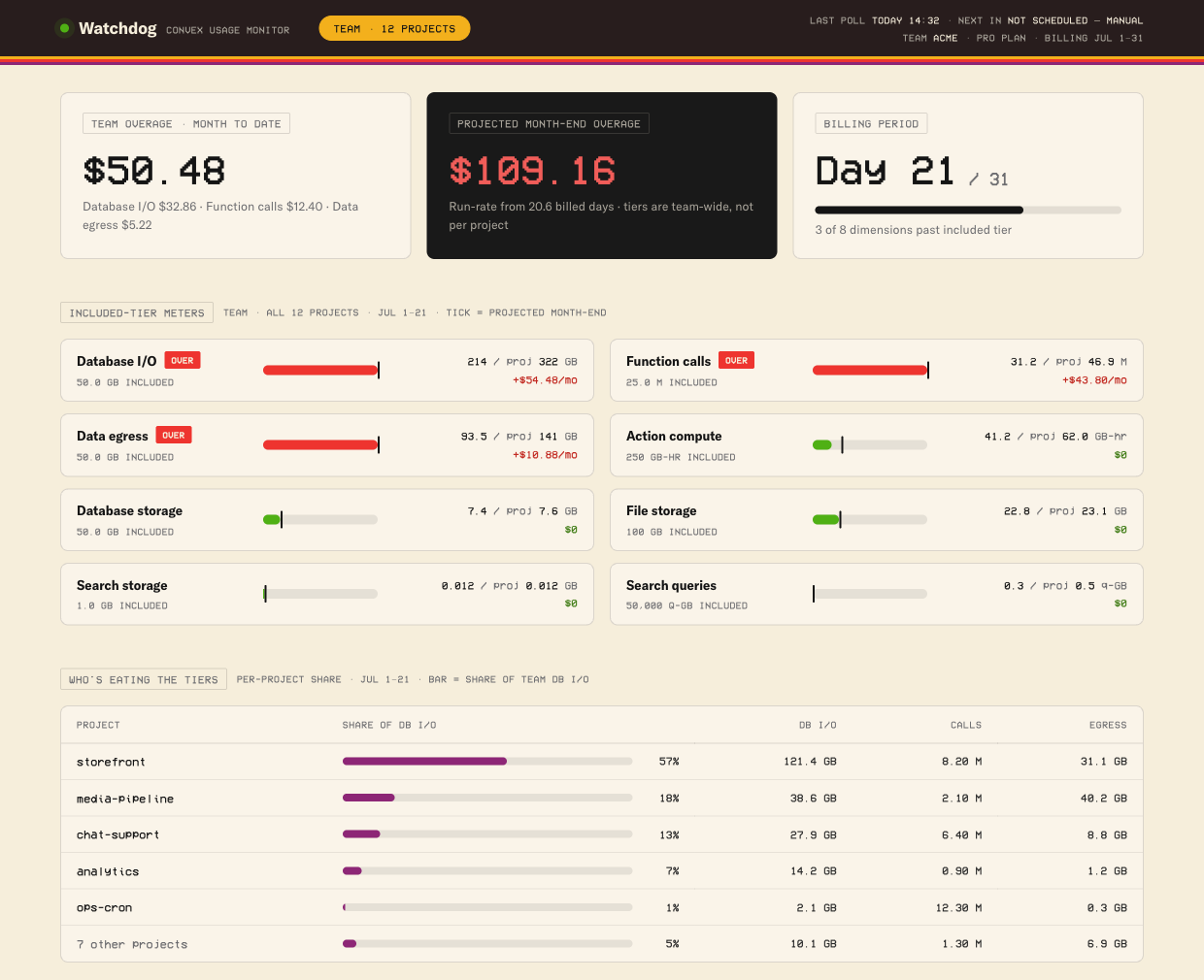 The watchdog dashboard: included-tier meters, per-project attribution, anomaly feed, trajectory charts, and a function explorer — populated with sample data